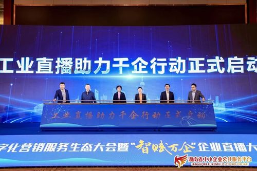 湖南省數(shù)字化營(yíng)銷服務(wù)生態(tài)大會(huì)成功舉辦，賦能制造業(yè)數(shù)字化轉(zhuǎn)型