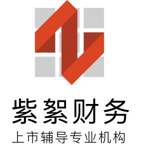 上海財(cái)務(wù)咨詢(xún)公司