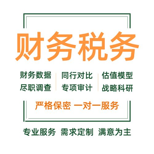 財(cái)務(wù)報(bào)表分析可行性研究報(bào)告審計(jì)稅務(wù)咨詢(xún)代寫(xiě)商業(yè)計(jì)劃書(shū)年度述職