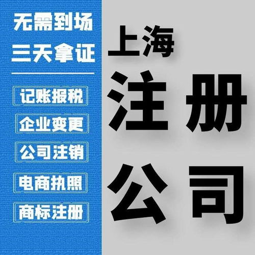 上海普陀區(qū)專業(yè)營(yíng)業(yè)執(zhí)照代辦 財(cái)稅代理價(jià)格優(yōu)惠