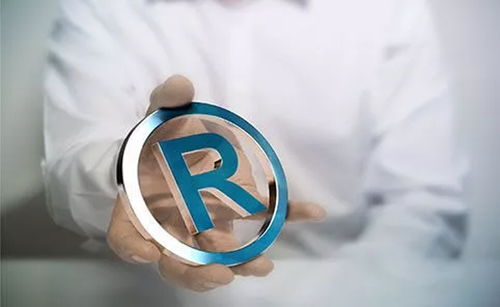 商標(biāo)注冊查詢與工商注冊 護(hù)航品牌，奠定商業(yè)基石